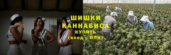 a pvp Аркадак