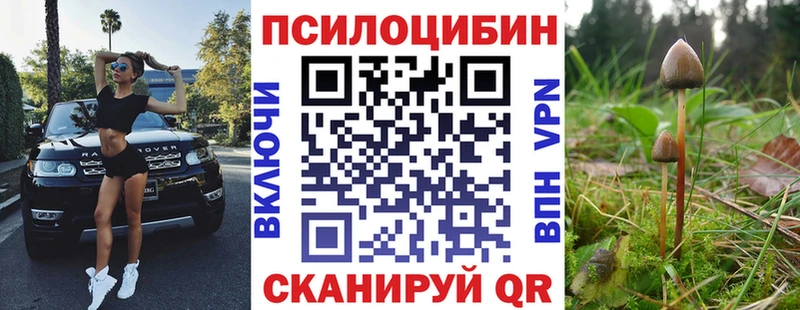Псилоцибиновые грибы Psilocybine cubensis  Новый Уренгой 